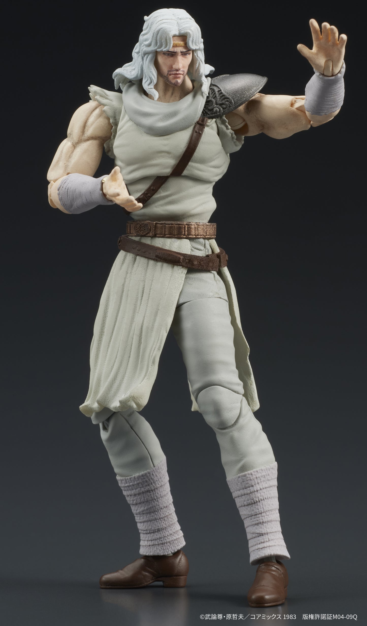 1/24 DIGACTION Fist of the North Star Toki